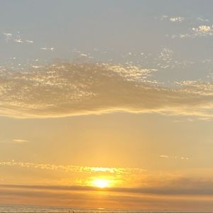 Meet your Posher, Francessca